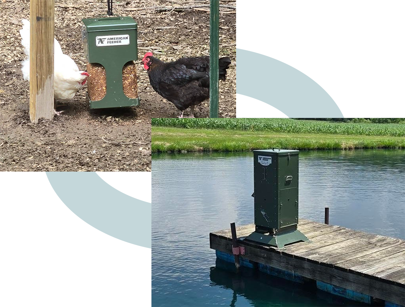 Automatic feeders for a variety of animals