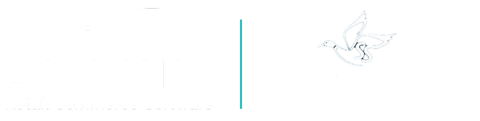Celerant and Sports South Logos