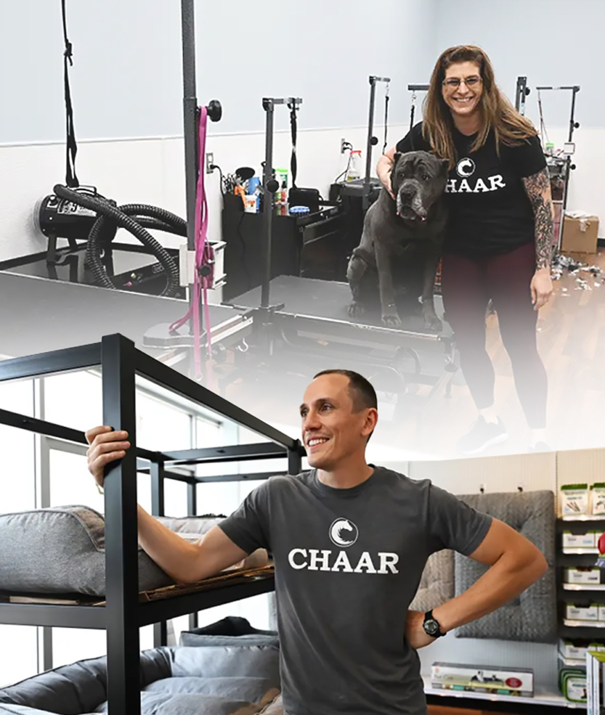 Pet Retailer Success Story - Chaar - Outcome