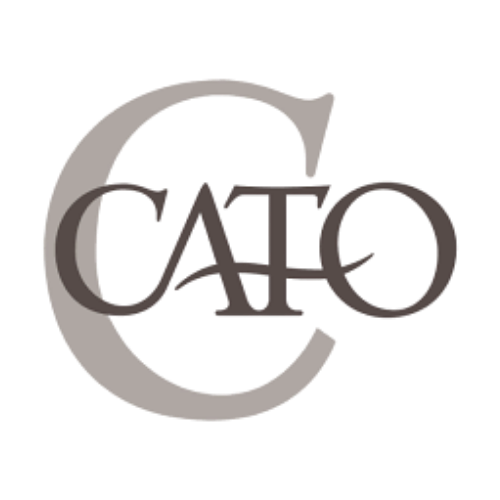 Retail client - CATO Fashion
