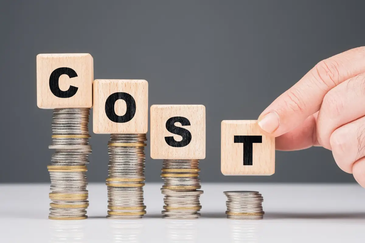 What is the Total Cost of Ownership